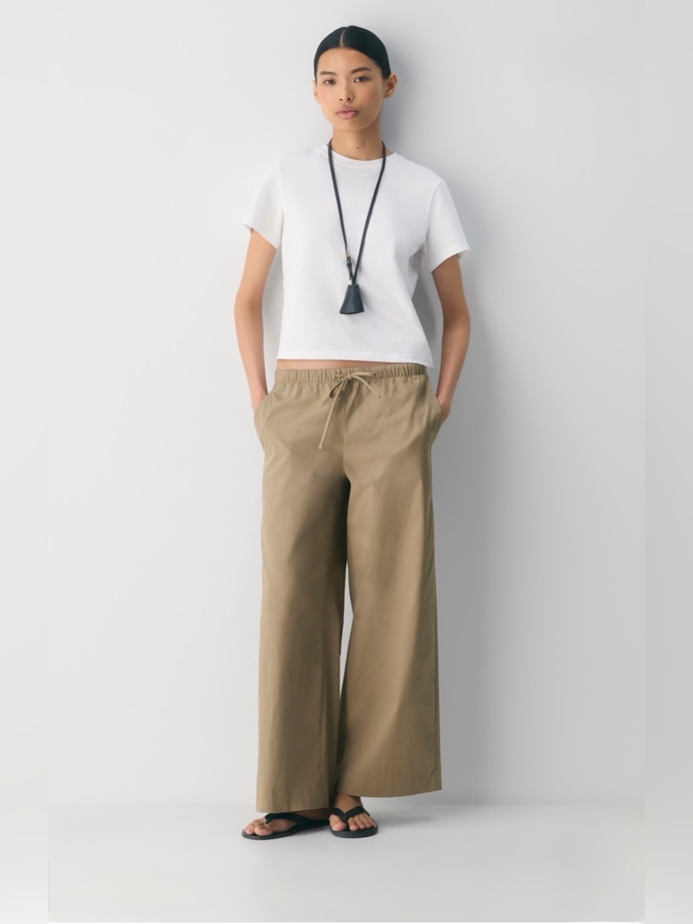 Aritzia Oberlin Chino Pants